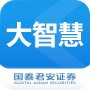 国泰君安大智慧 v5.99991 官方版