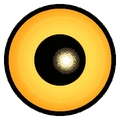 鹰眼快搜 v2.1 官方版