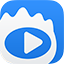 新浪视频下载软件(ViDown)专版 v2.1.3.3 官方版