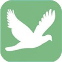 飞鸟影视 v5.4 绿色版