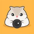米熊直播电脑版 v1.0.1 官方PC版