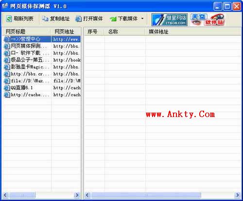 网页媒体探测器 1.0 绿色版