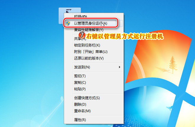 ACDSee Pro 10注册版