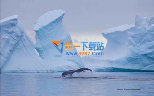 荒凉之美官方免费主题(win7/win8.1)
