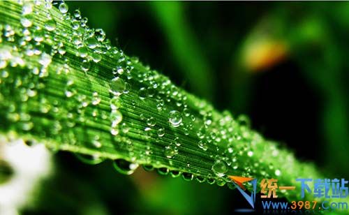 水2主题下载