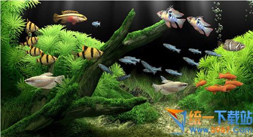 梦幻水族馆动态屏保(Dream Aquarium)