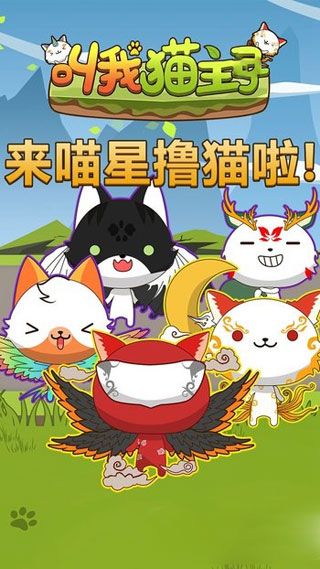 叫我猫主子安卓版