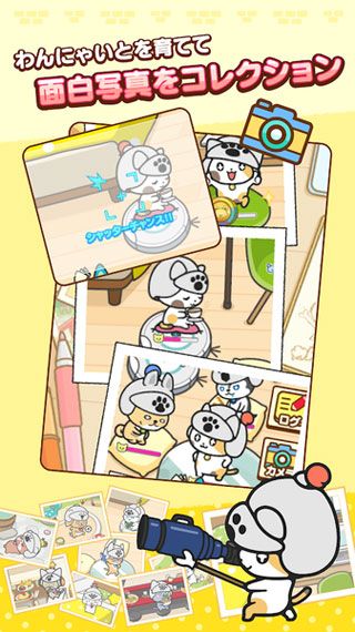 汪喵与骑士团安卓版