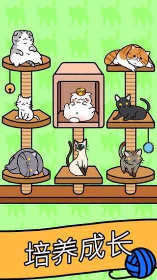 猫咪公寓安卓版