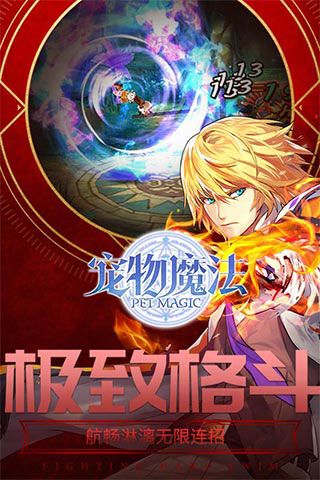 宠物魔法变态版