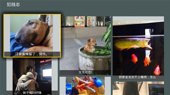 趣图精选tv版