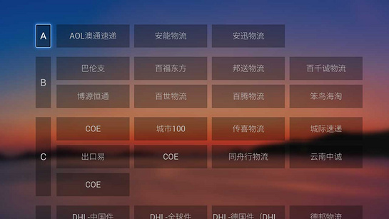 快递100查询TV版