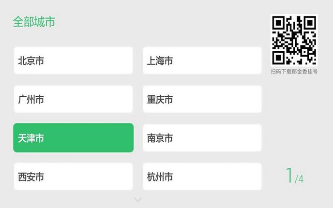 郁金香挂号TV版