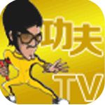 功夫王TV版