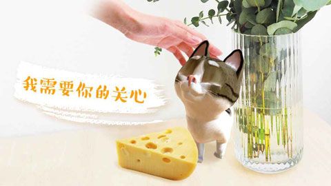 AR喵iOS版