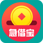 急借宝安卓版