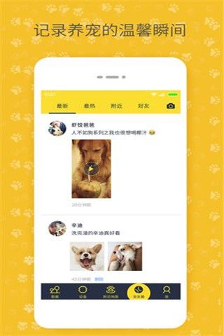 陪彼宠物安卓版