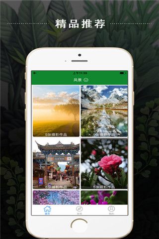 蕾丝猫安卓版