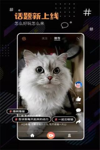 河豚小视频app