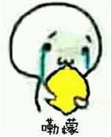 胡萝北是什么意思 胡萝北是什么梗