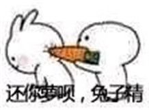 胡萝北是什么意思 胡萝北是什么梗