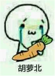 胡萝北是什么意思 胡萝北是什么梗