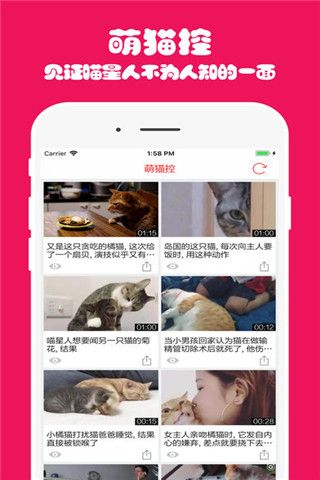 猫主子iOS版