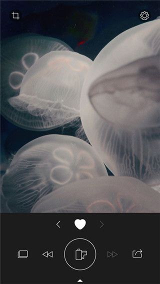 RNI Colibri免费版